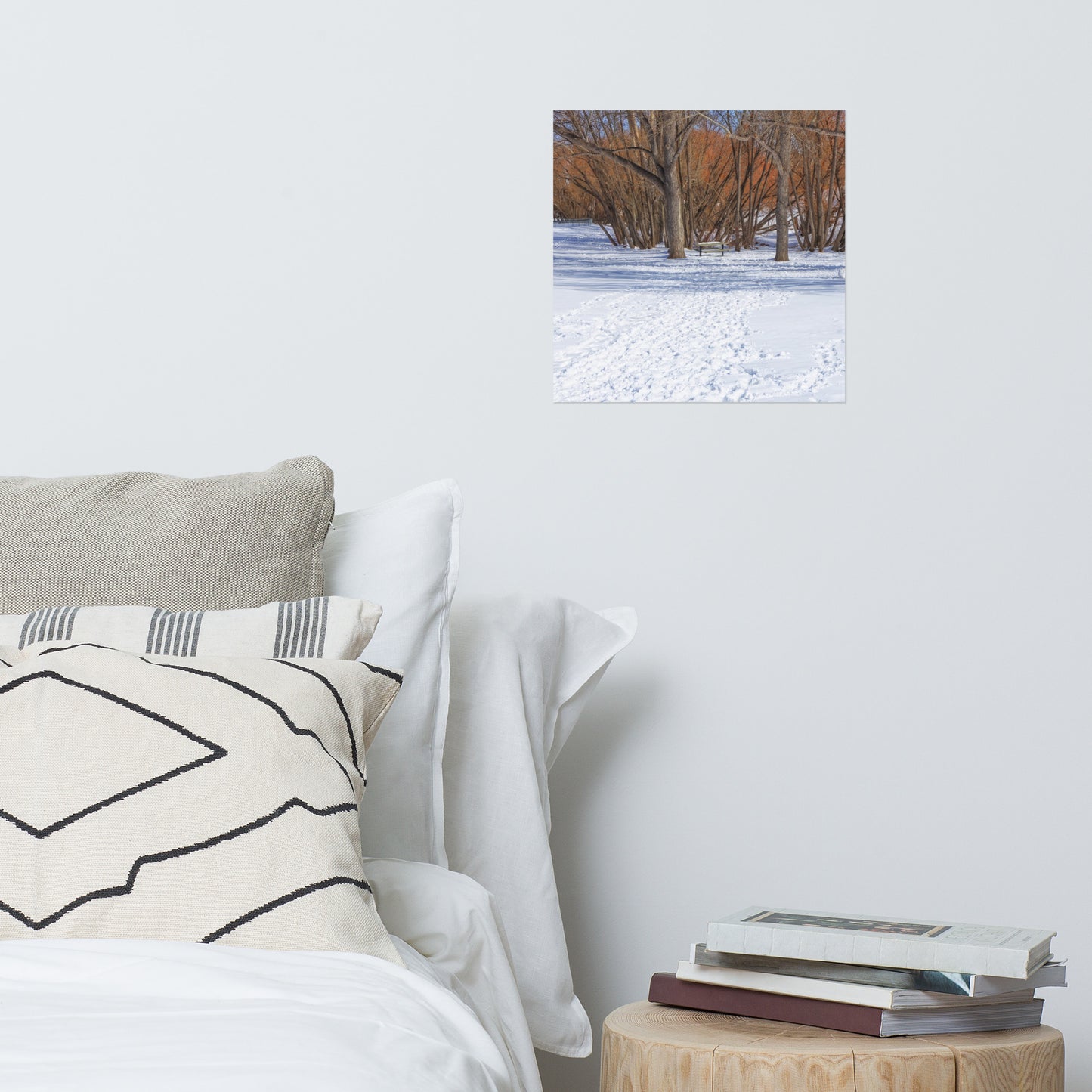 Matte Poster Print - Confederation Park Winter