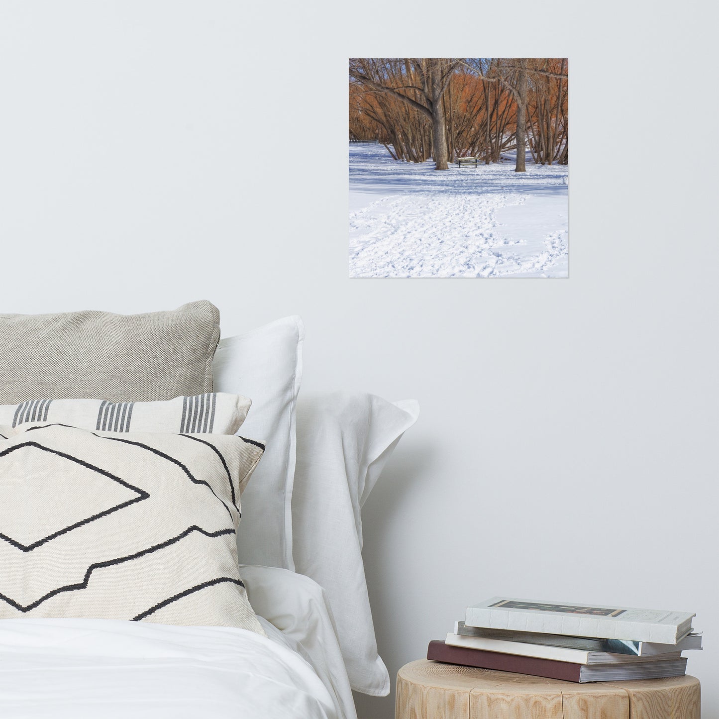 Matte Poster Print - Confederation Park Winter