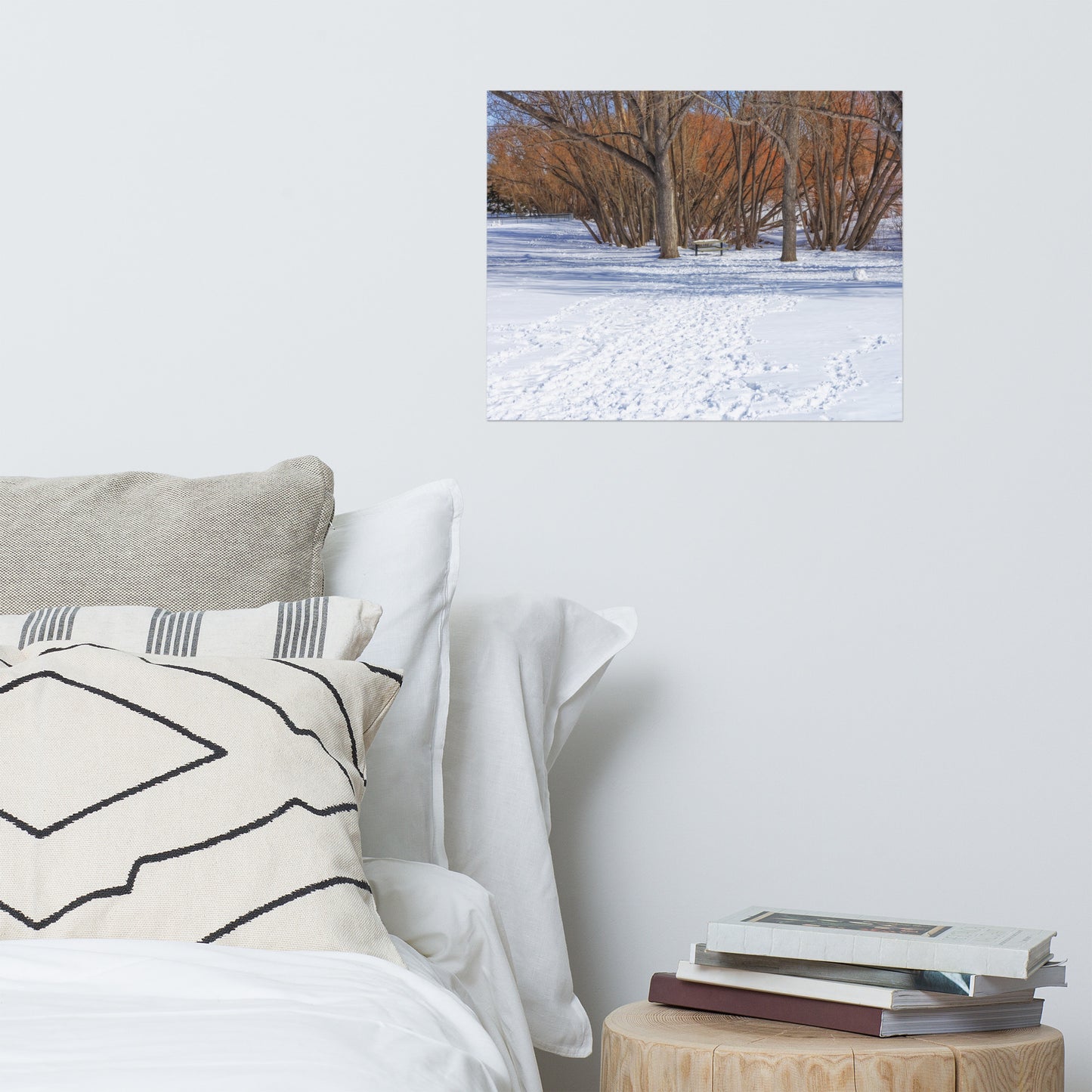 Matte Poster Print - Confederation Park Winter