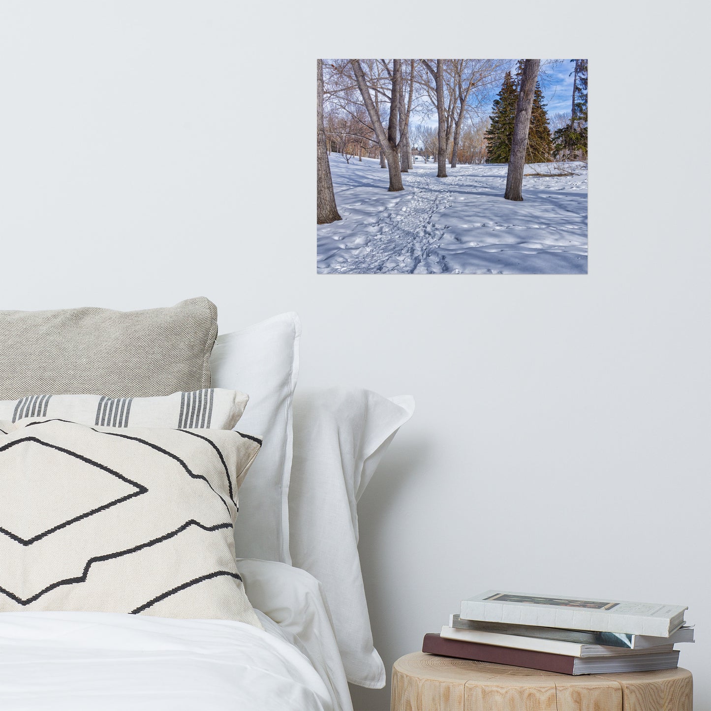 Matte Poster Print - Confederation Park Winter HDR