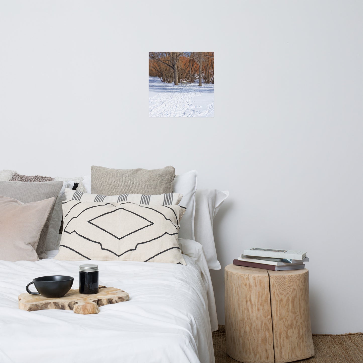 Matte Poster Print - Confederation Park Winter