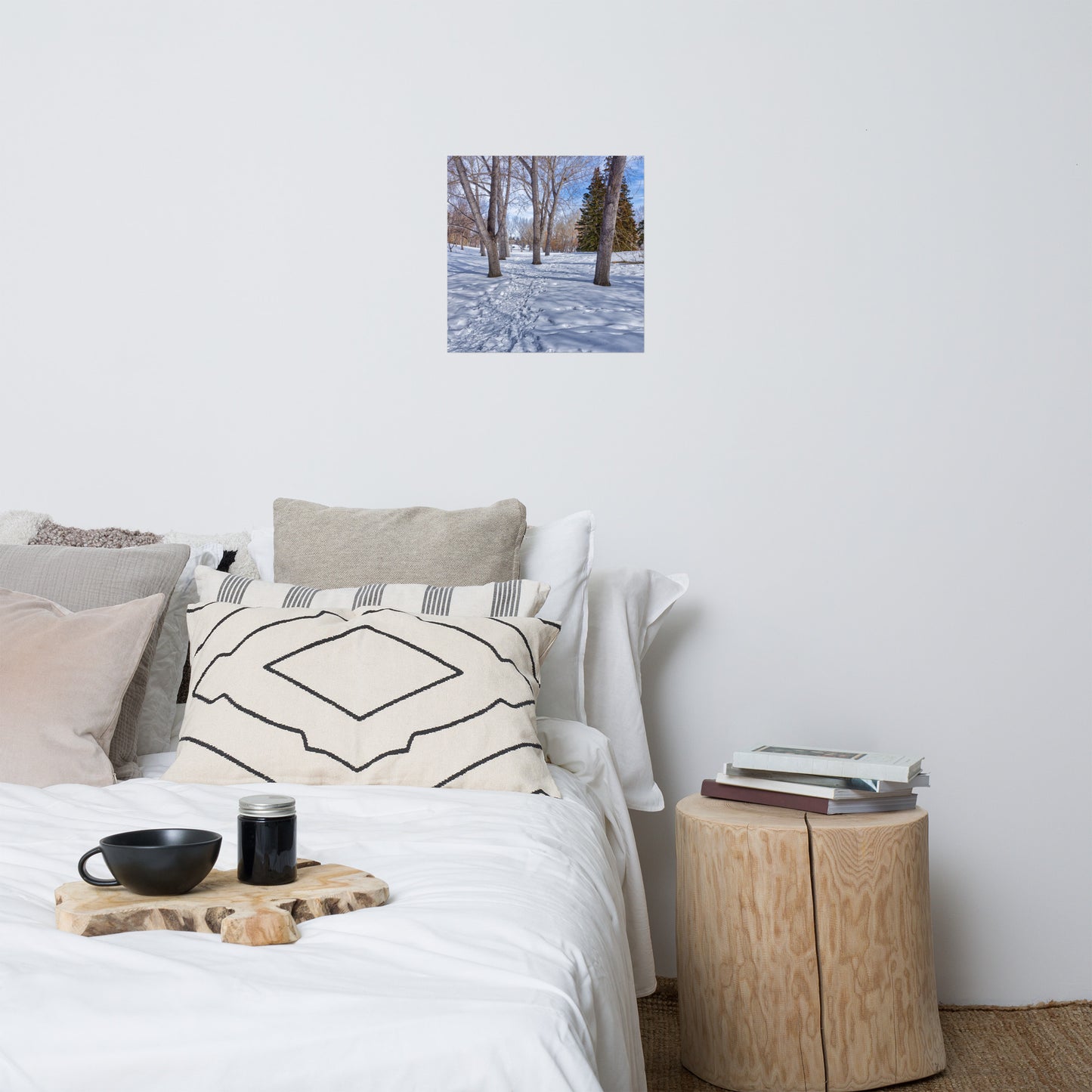 Matte Poster Print - Confederation Park Winter HDR