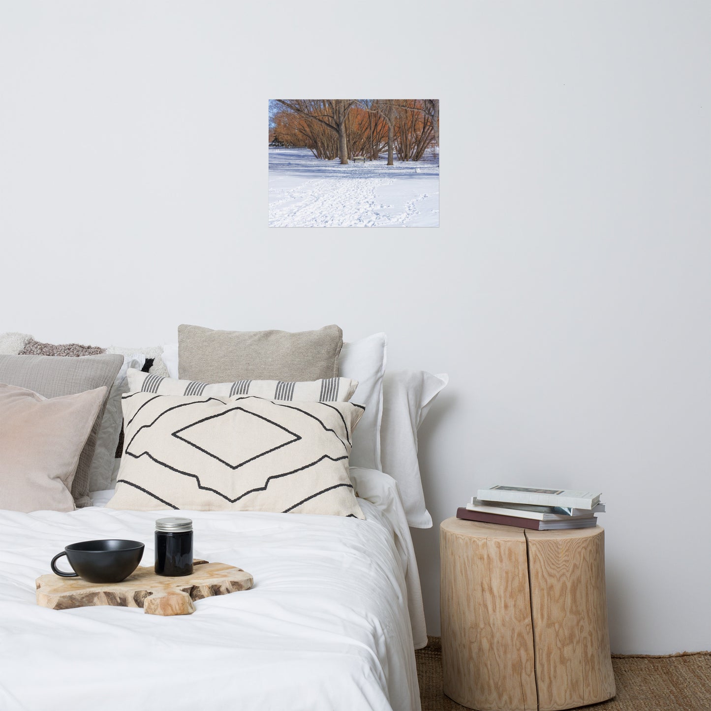 Matte Poster Print - Confederation Park Winter