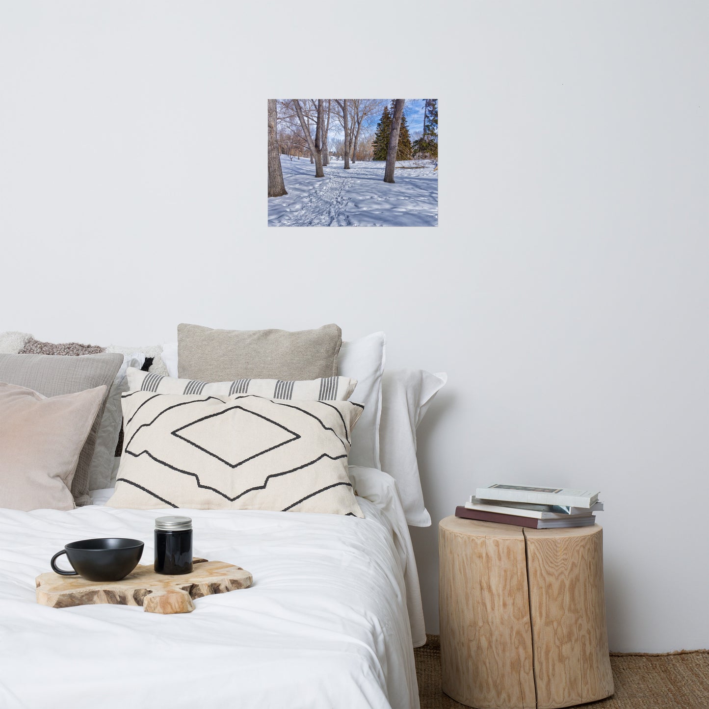 Matte Poster Print - Confederation Park Winter HDR