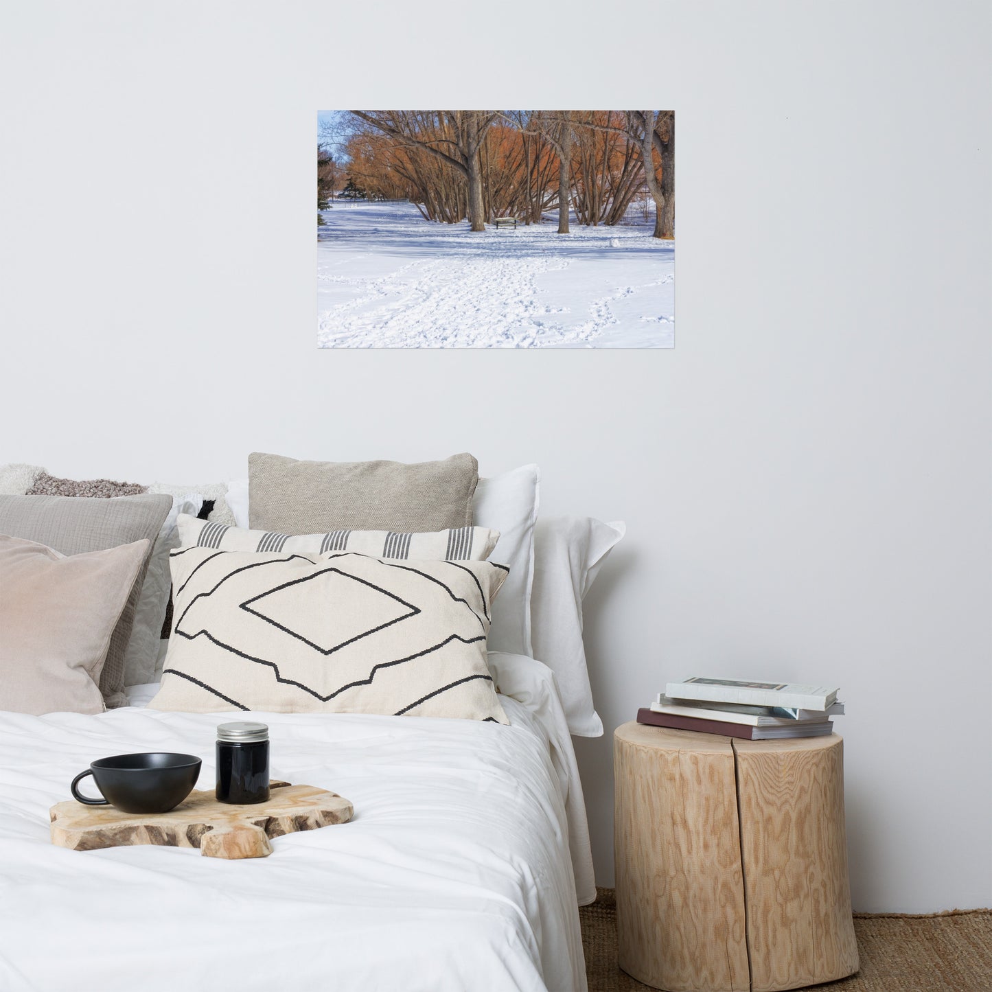 Matte Poster Print - Confederation Park Winter