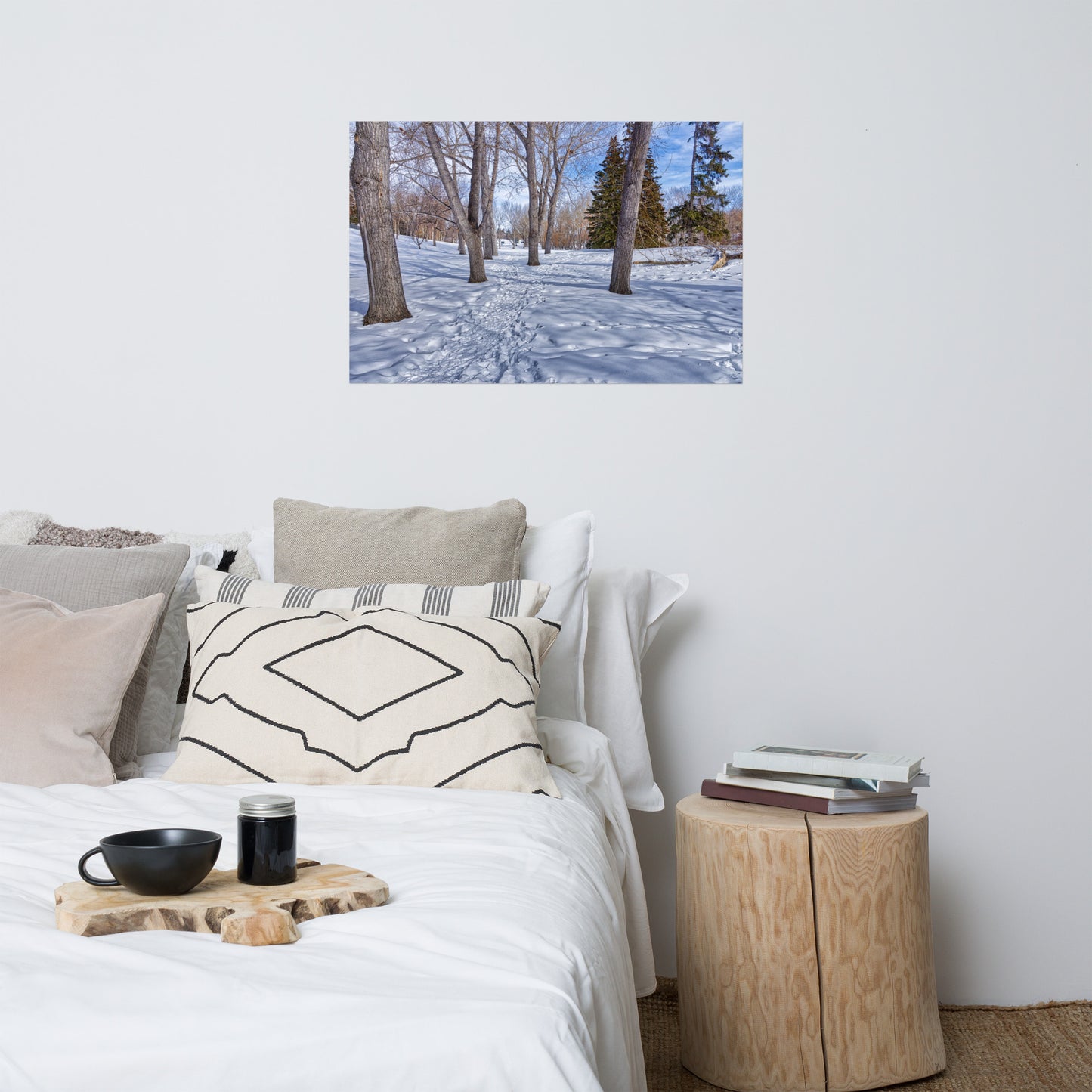 Matte Poster Print - Confederation Park Winter HDR