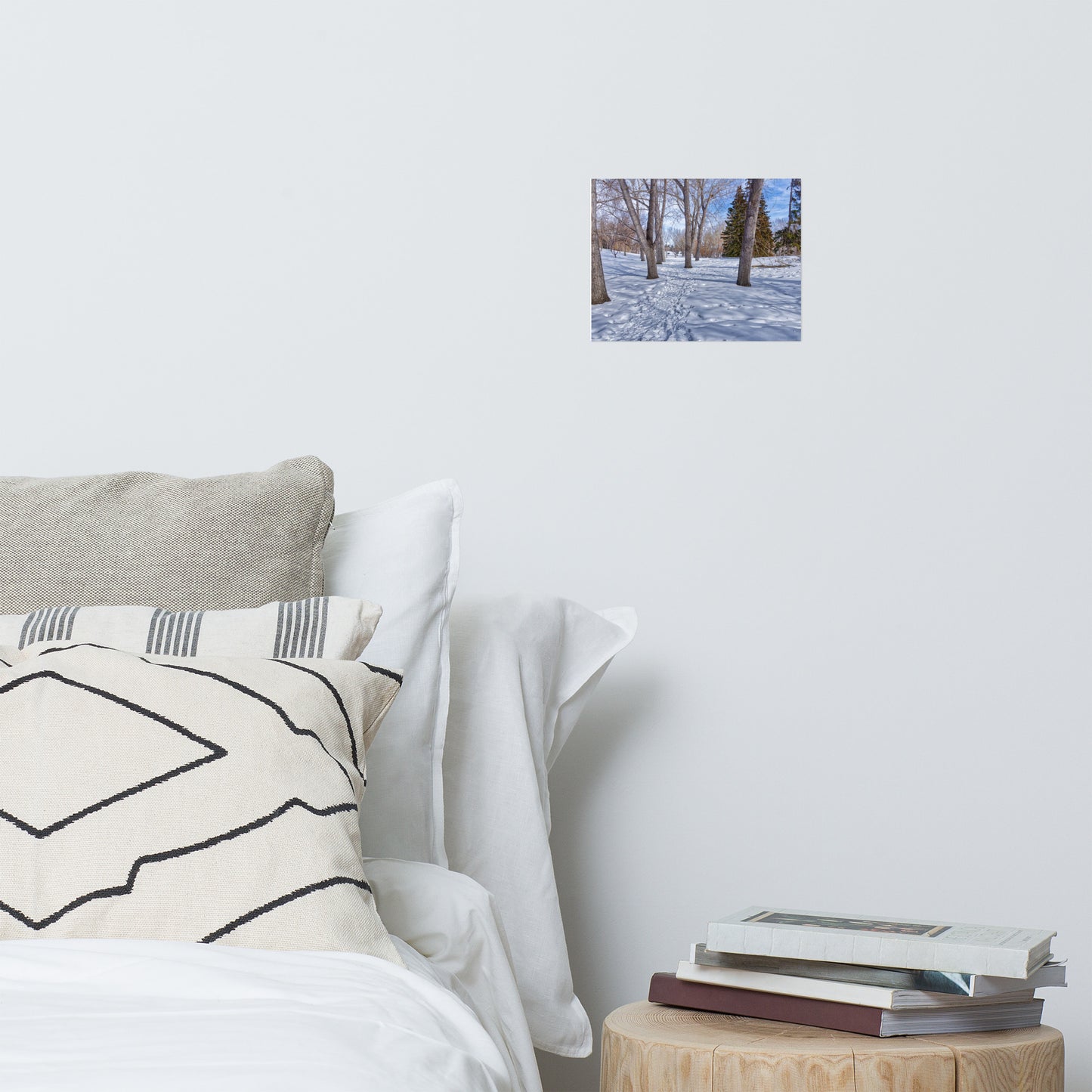 Matte Poster Print - Confederation Park Winter HDR