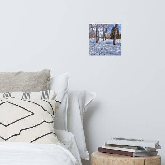 Lustre Poster Print - Confederation Park Winter HDR