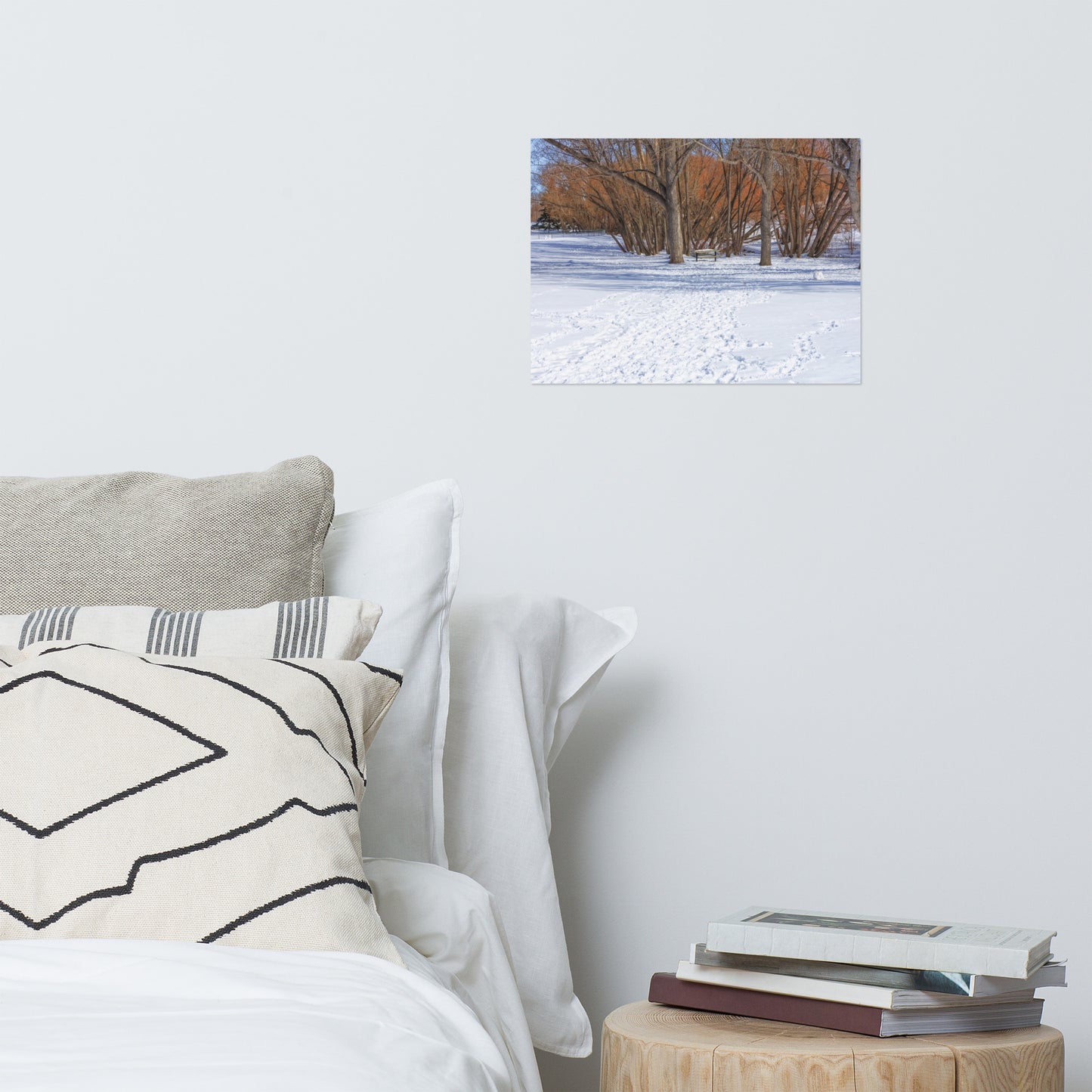 Lustre Poster Print - Confederation Park Winter