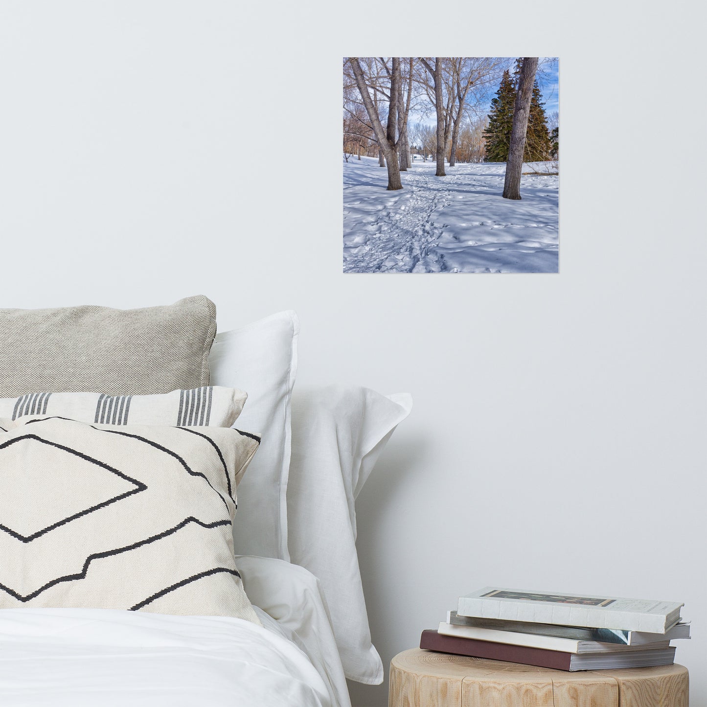 Lustre Poster Print - Confederation Park Winter HDR