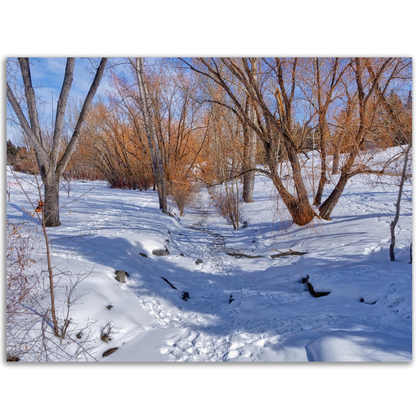 Foam Print - Confederation Creek Winter HDR