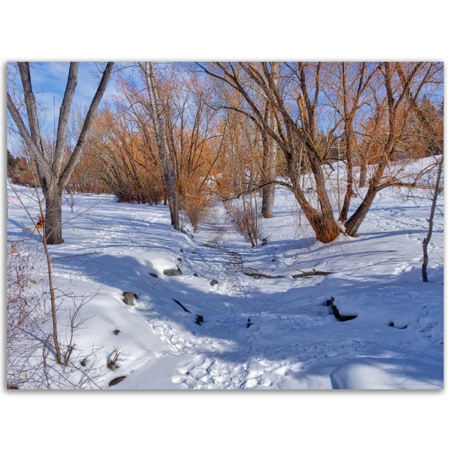 Premium Semi-Glossy Poster Print - Confederation Creek Winter HDR