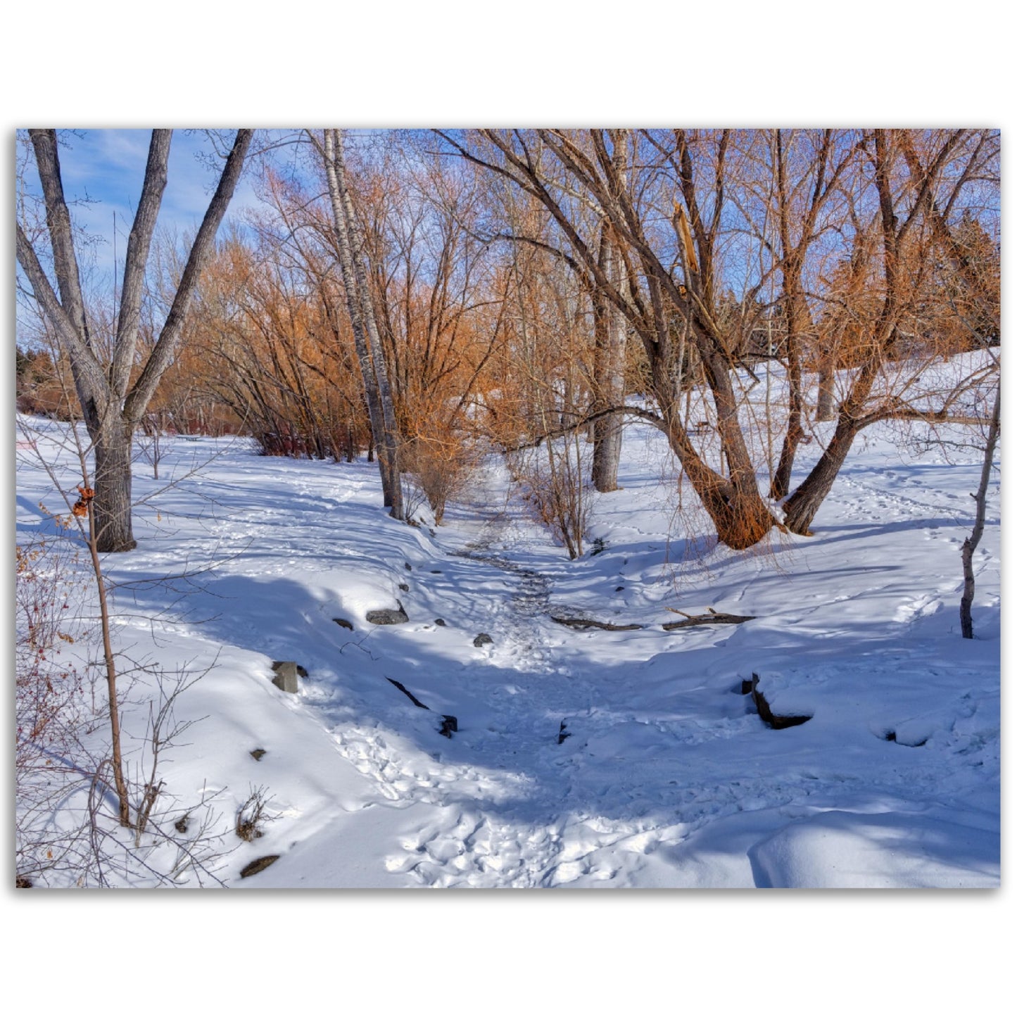 Premium Semi-Glossy Poster Print - Confederation Creek Winter HDR
