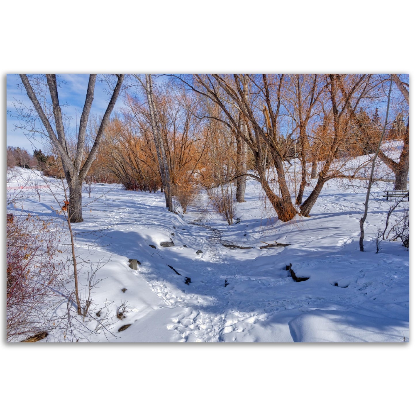 Premium Semi-Glossy Poster Print - Confederation Creek Winter HDR