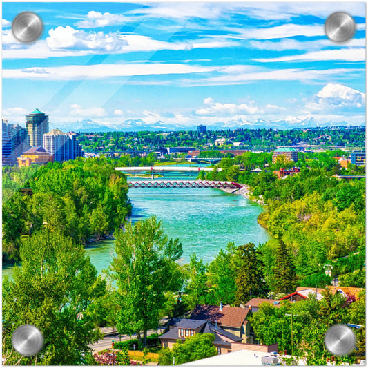Acrylic Print - McHugh Bluff Bow River Peace Bridge Spring HDR