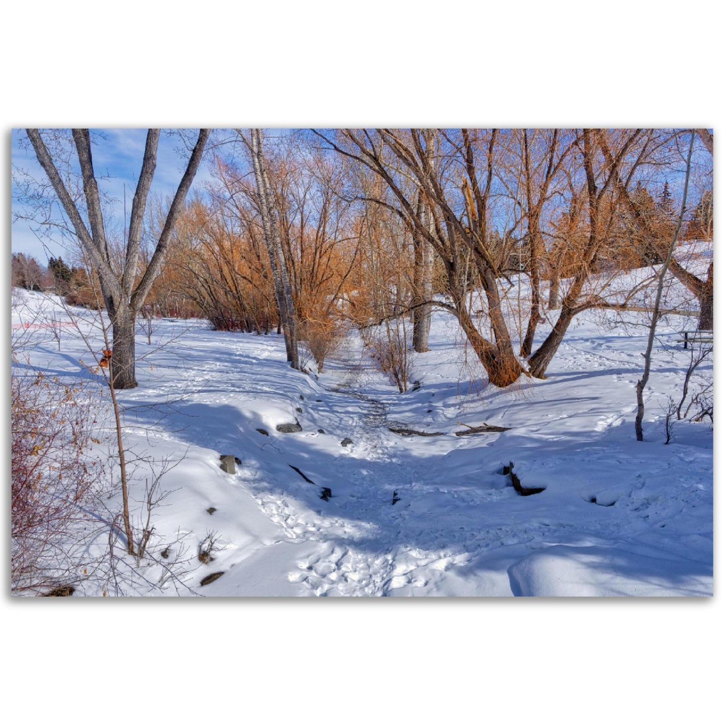 Premium Semi-Glossy Poster Print - Confederation Creek Winter HDR