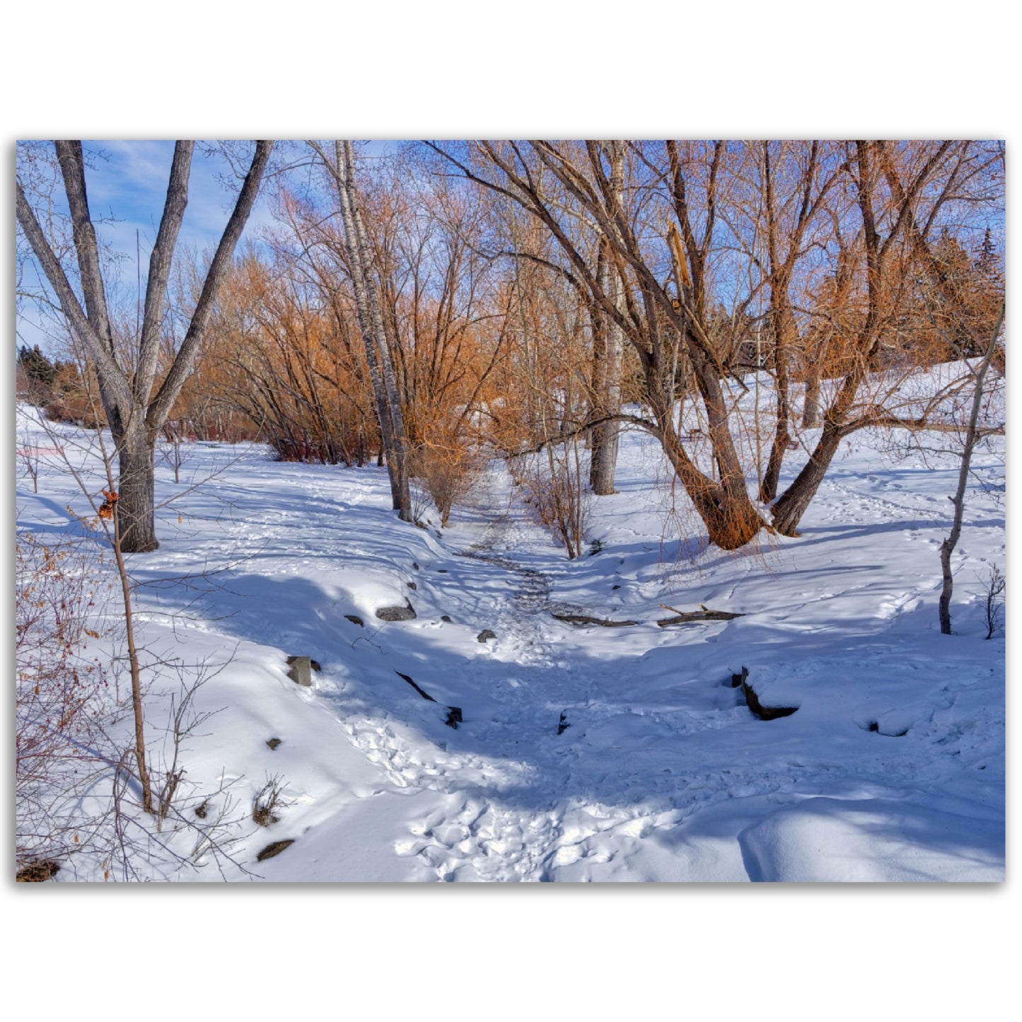 Foam Print - Confederation Creek Winter HDR