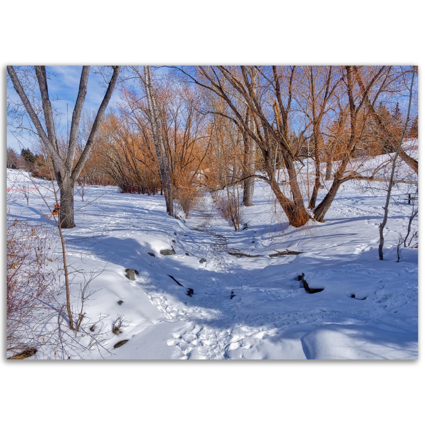 Premium Semi-Glossy Poster Print - Confederation Creek Winter HDR